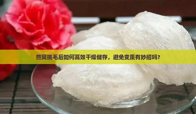 燕窝挑毛后如何高效干燥储存，避免变质有妙招吗？