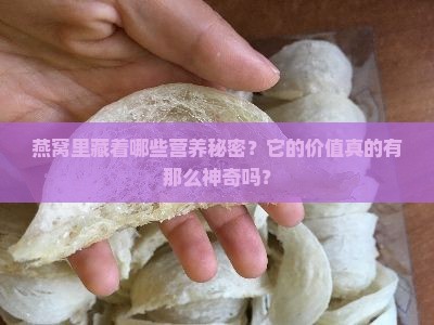 燕窝里藏着哪些营养秘密？它的价值真的有那么神奇吗？