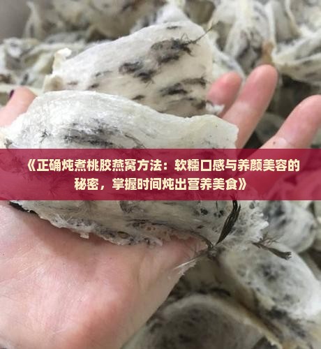 《正确炖煮桃胶燕窝方法：软糯口感与养颜美容的秘密，掌握时间炖出营养美食》