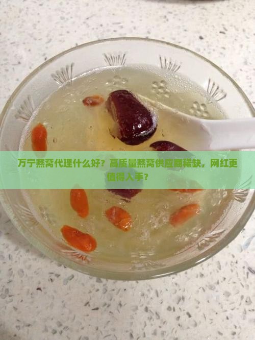 万宁燕窝代理什么好？高质量燕窝供应商稀缺，网红更值得入手？