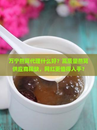 万宁燕窝代理什么好？高质量燕窝供应商稀缺，网红更值得入手？