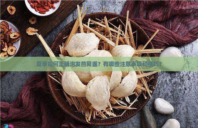 夏季如何正确泡发燕窝盏？有哪些注意事项和技巧？