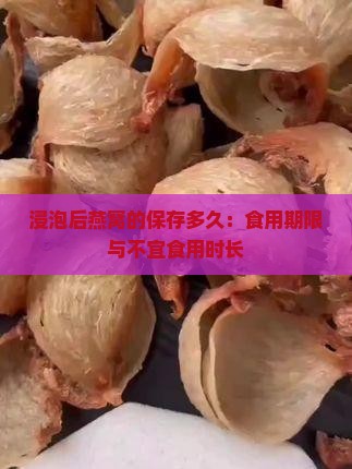 浸泡后燕窝的保存多久：食用期限与不宜食用时长