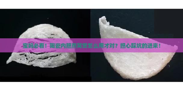 宝妈必看！陶瓷内胆燕窝煲怎么用才对？担心踩坑的进来！