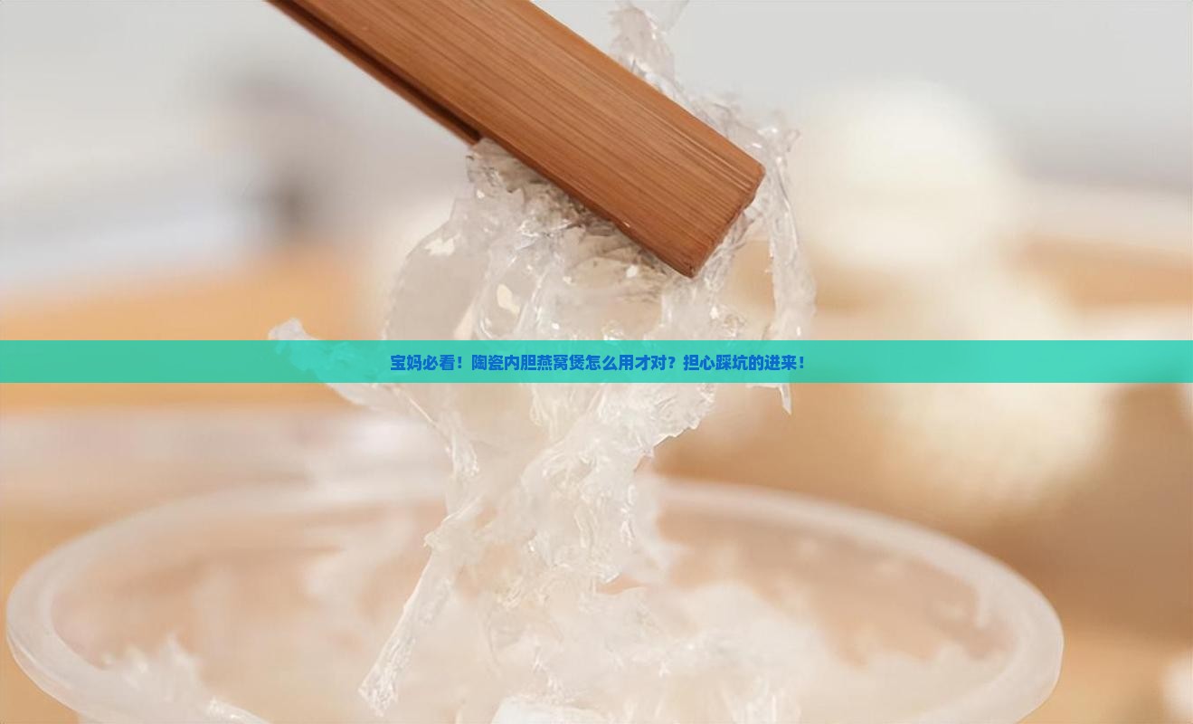 宝妈必看！陶瓷内胆燕窝煲怎么用才对？担心踩坑的进来！