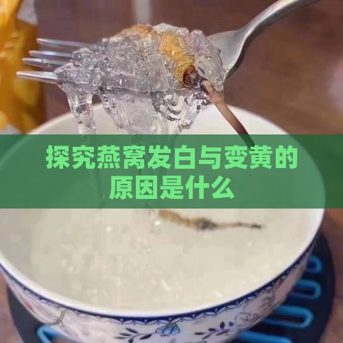 探究燕窝发白与变黄的原因是什么