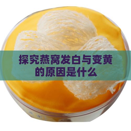 探究燕窝发白与变黄的原因是什么