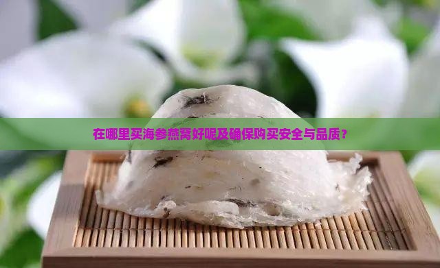 在哪里买海参燕窝好呢及确保购买安全与品质？