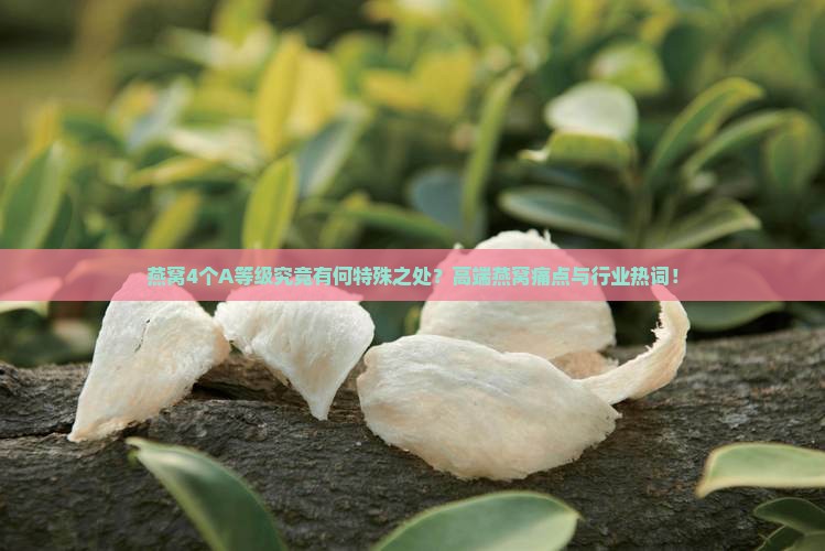 燕窝4个A等级究竟有何特殊之处？高端燕窝痛点与行业热词！