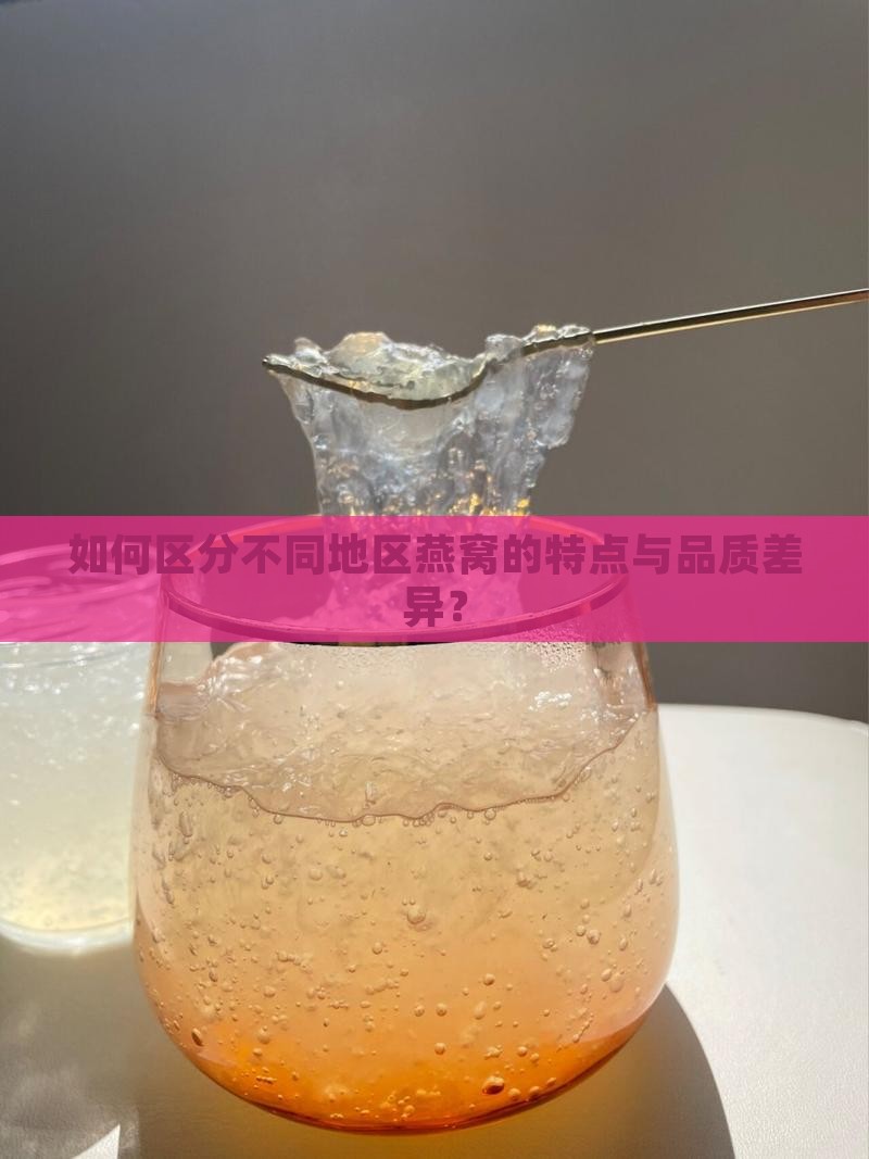 如何区分不同地区燕窝的特点与品质差异？