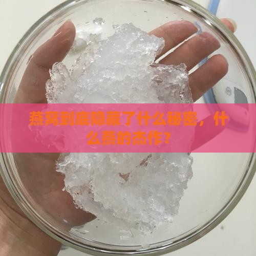 燕窝到底隐藏了什么秘密，什么燕的杰作？