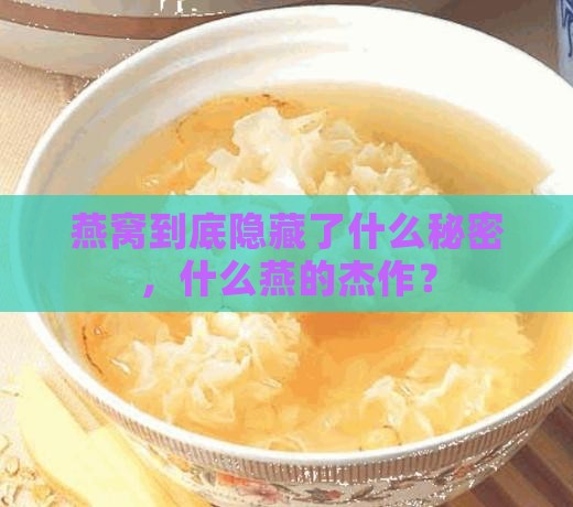 燕窝到底隐藏了什么秘密，什么燕的杰作？