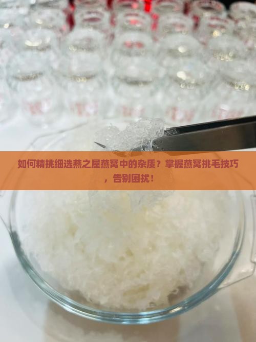 如何精挑细选燕之屋燕窝中的杂质？掌握燕窝挑毛技巧，告别困扰！
