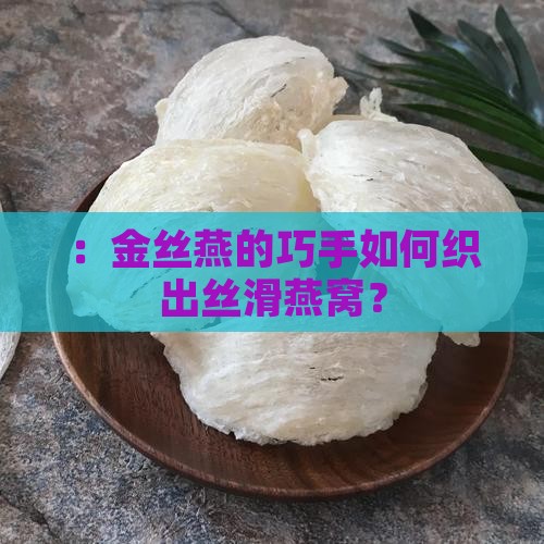 ：金丝燕的巧手如何织出丝滑燕窝？