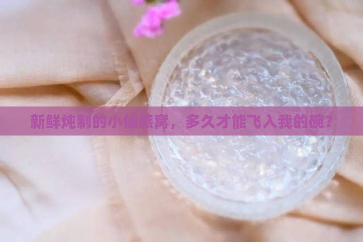 新鲜炖制的小仙燕窝，多久才能飞入我的碗？