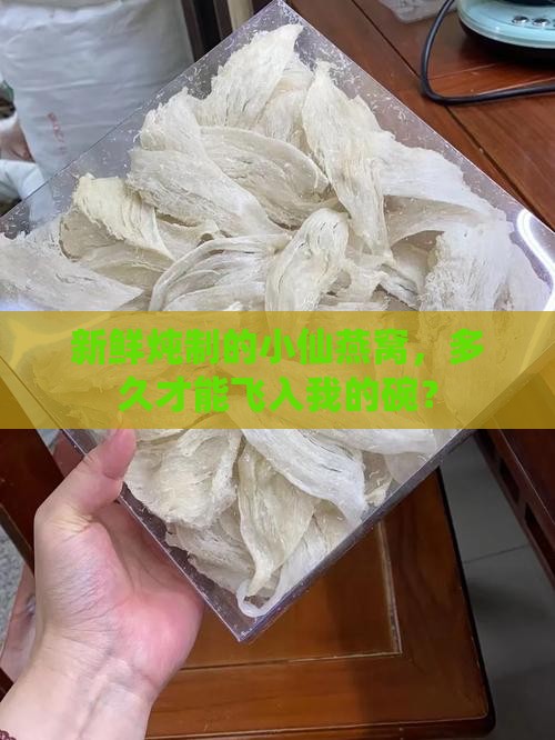 新鲜炖制的小仙燕窝，多久才能飞入我的碗？