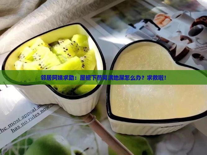 邻居阿姨求助：屋檐下燕窝满地屎怎么办？求救啦！