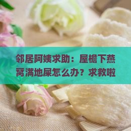 邻居阿姨求助：屋檐下燕窝满地屎怎么办？求救啦！