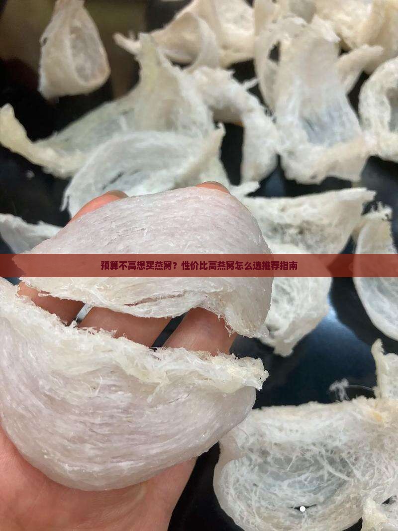 预算不高想买燕窝？性价比高燕窝怎么选推荐指南