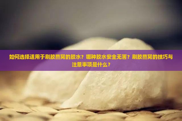 如何选择适用于刷胶燕窝的胶水？哪种胶水安全无害？刷胶燕窝的技巧与注意事项是什么？