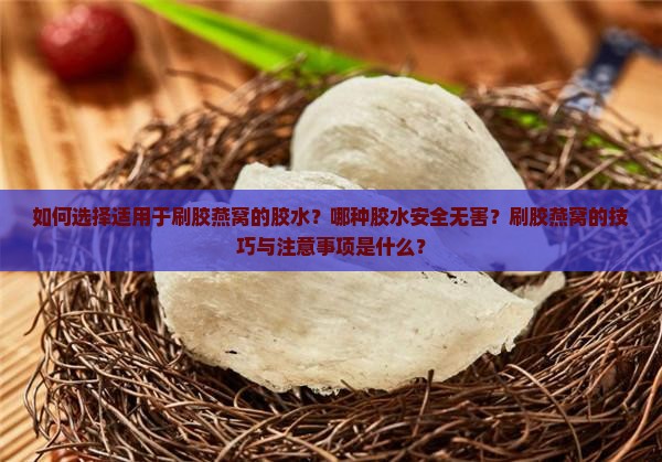 如何选择适用于刷胶燕窝的胶水？哪种胶水安全无害？刷胶燕窝的技巧与注意事项是什么？