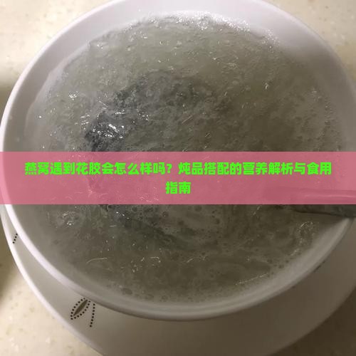 燕窝遇到花胶会怎么样吗？炖品搭配的营养解析与食用指南