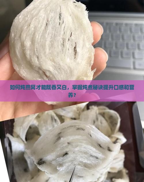 如何炖燕窝才能既香又白，掌握炖煮秘诀提升口感和营养？