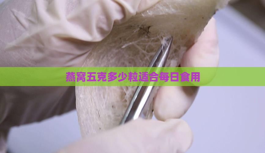 燕窝五克多少粒适合每日食用