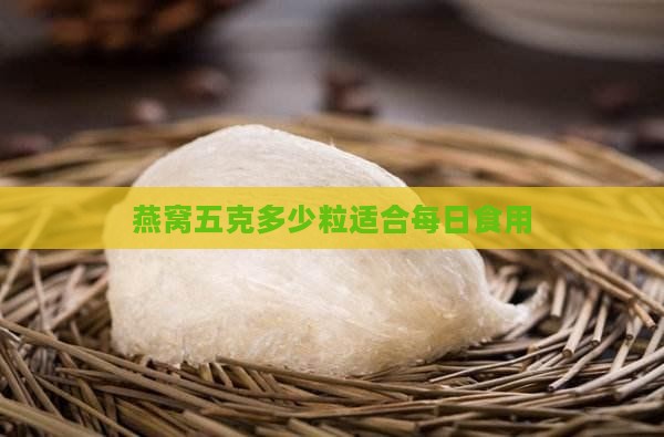 燕窝五克多少粒适合每日食用