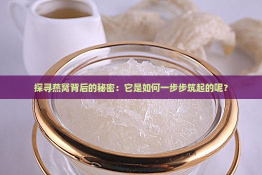 探寻燕窝背后的秘密：它是如何一步步筑起的呢？