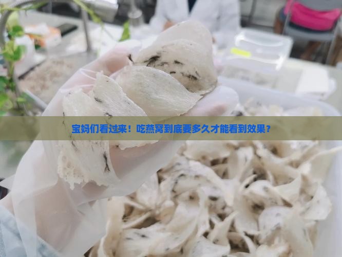 宝妈们看过来！吃燕窝到底要多久才能看到效果？