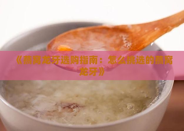 《燕窝龙牙选购指南：怎么挑选的燕窝龙牙》