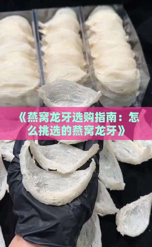 《燕窝龙牙选购指南：怎么挑选的燕窝龙牙》