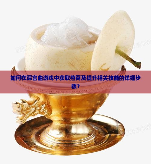 如何在深宫曲游戏中获取燕窝及提升相关技能的详细步骤？