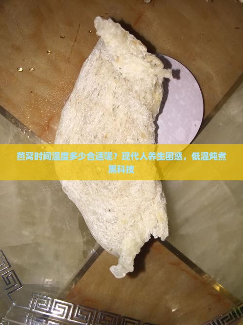 燕窝时间温度多少合适呢？现代人养生困惑，低温炖煮黑科技