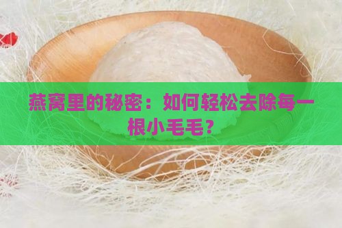 燕窝里的秘密：如何轻松去除每一根小毛毛？