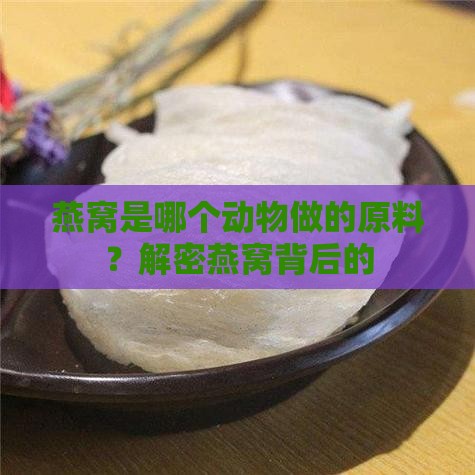 燕窝是哪个动物做的原料？解密燕窝背后的