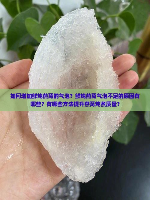 如何增加鲜炖燕窝的气泡？鲜炖燕窝气泡不足的原因有哪些？有哪些方法提升燕窝炖煮质量？
