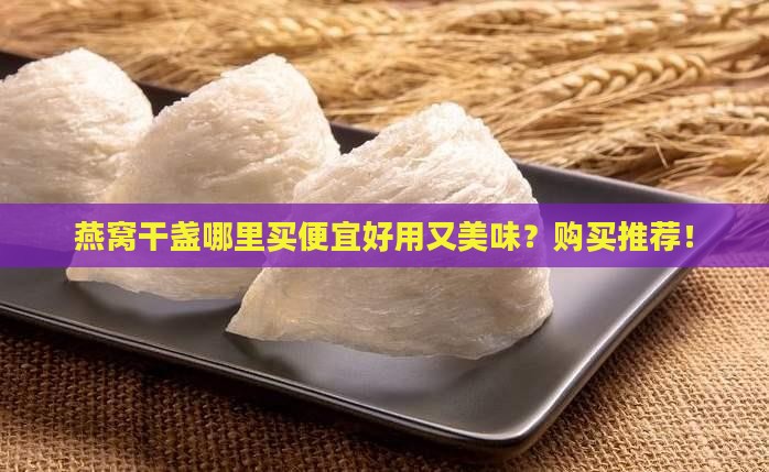 燕窝干盏哪里买便宜好用又美味？购买推荐！