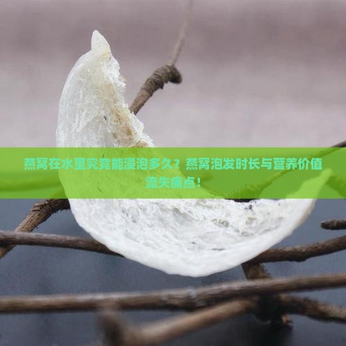 燕窝在水里究竟能浸泡多久？燕窝泡发时长与营养价值流失痛点！