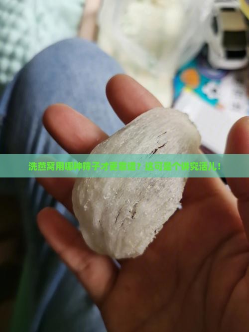 洗燕窝用哪种筛子才更靠谱？这可是个讲究活儿！