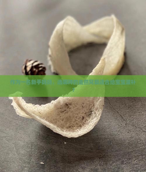 作为一名新手妈妈，选哪种的金燕窝最适合给宝宝滋补？