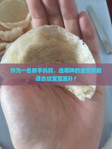 作为一名新手妈妈，选哪种的金燕窝最适合给宝宝滋补？