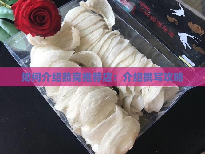 如何介绍燕窝推荐店：介绍撰写攻略