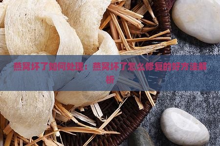 燕窝坏了如何处理：燕窝坏了怎么修复的好方法解析