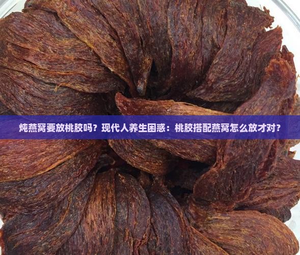 炖燕窝要放桃胶吗？现代人养生困惑：桃胶搭配燕窝怎么放才对？