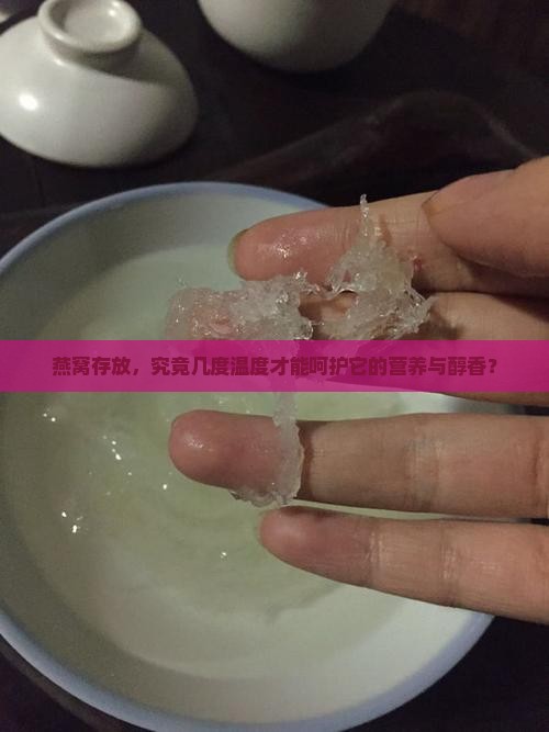 燕窝存放，究竟几度温度才能呵护它的营养与醇香？