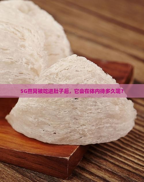 5G燕窝被吃进肚子后，它会在体内待多久呢？