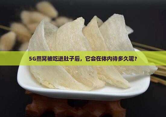 5G燕窝被吃进肚子后，它会在体内待多久呢？