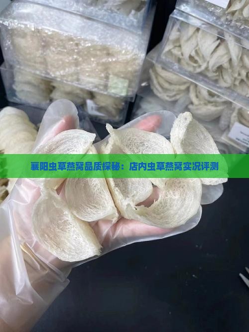 襄阳虫草燕窝品质探秘：店内虫草燕窝实况评测